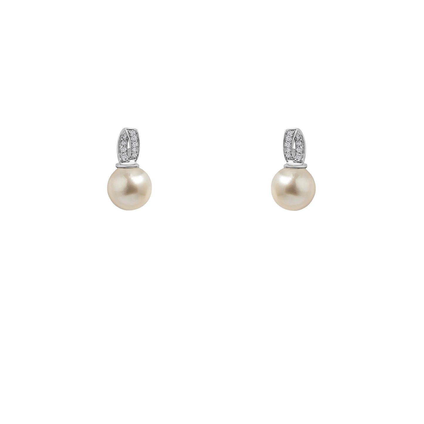BC0006313-R