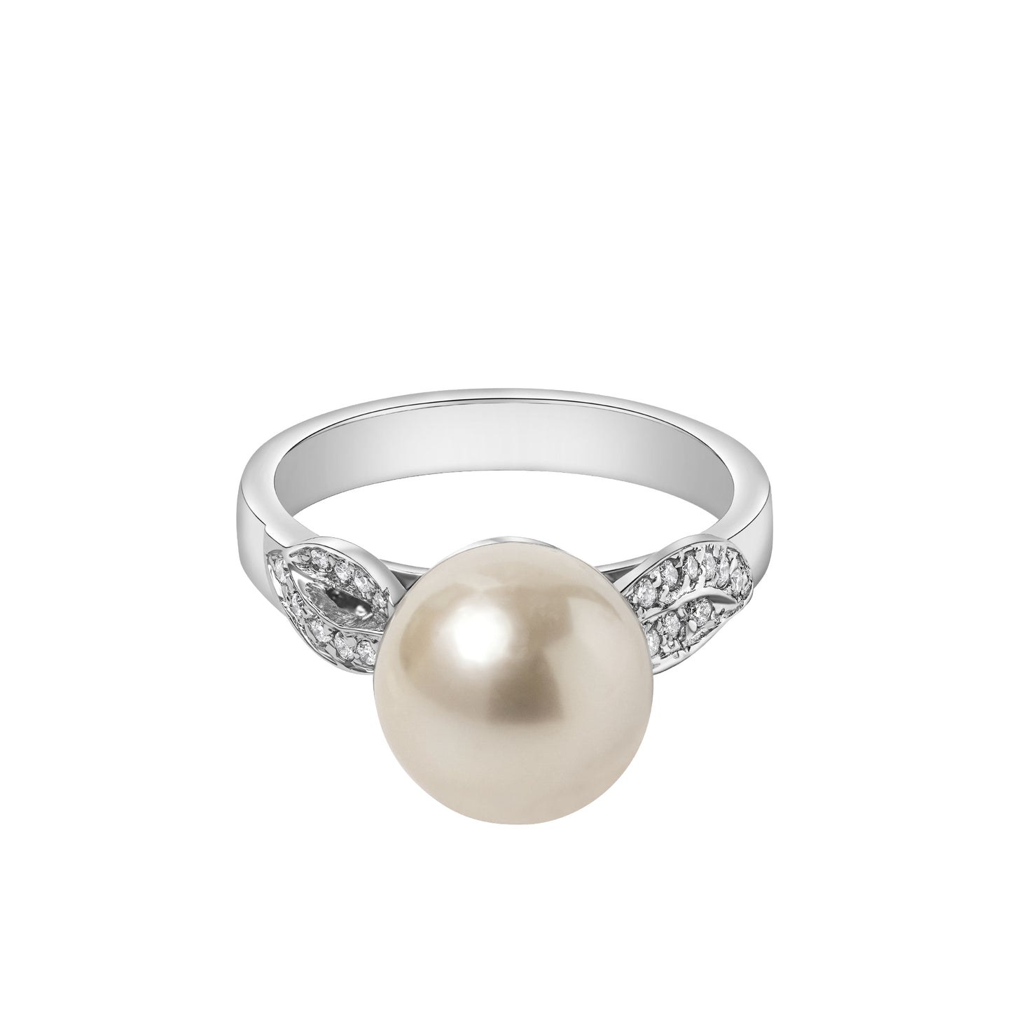 BC0006313-R