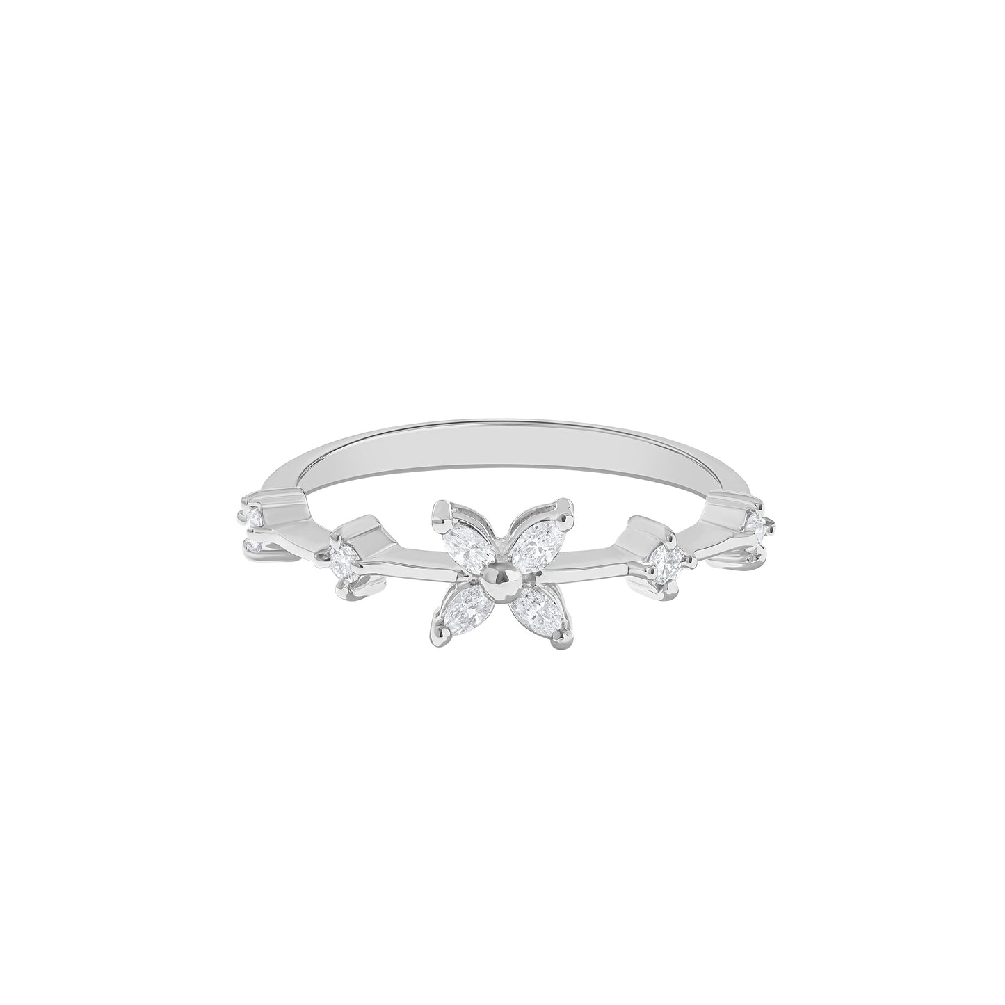 BS0003612-R-1