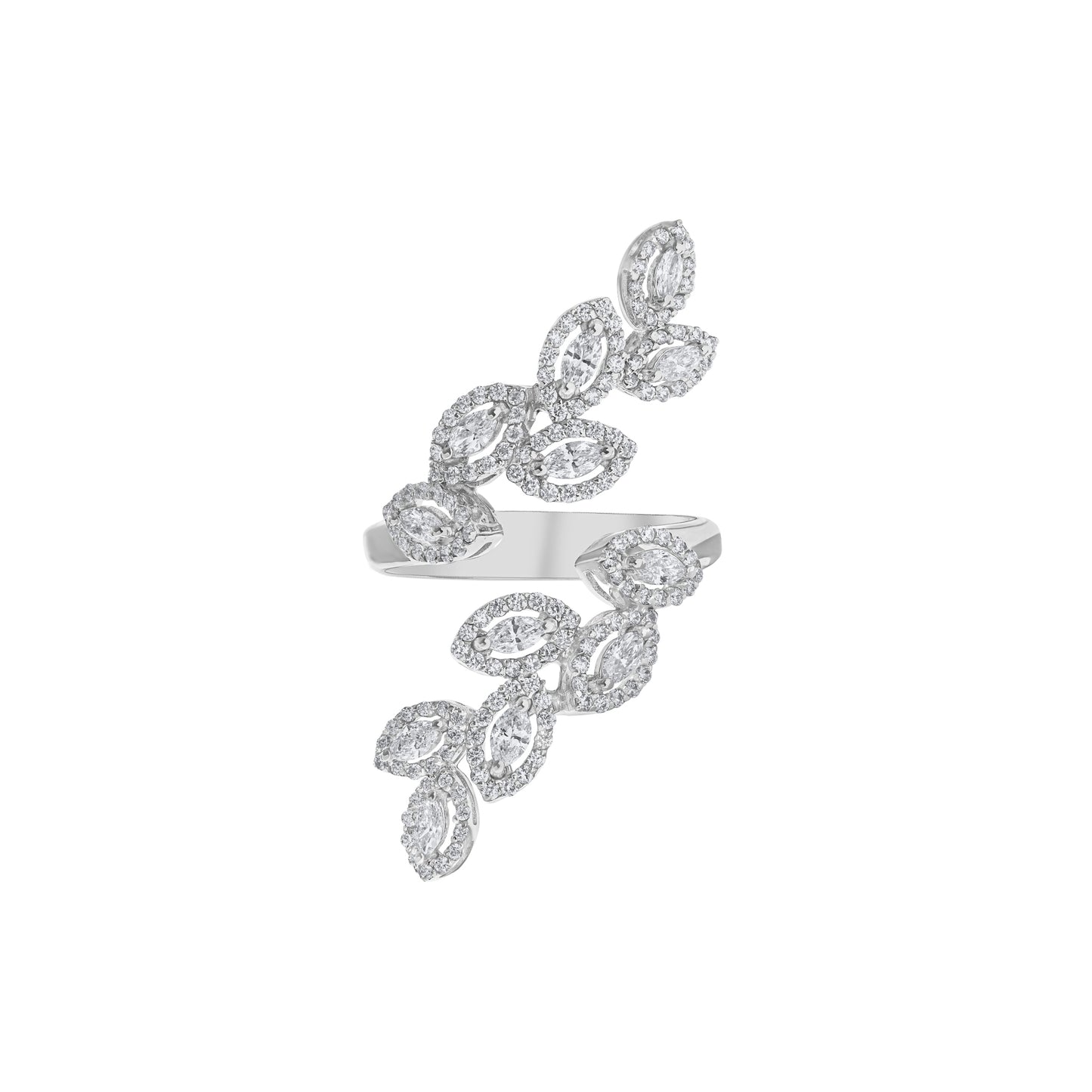 BS0003615-R
