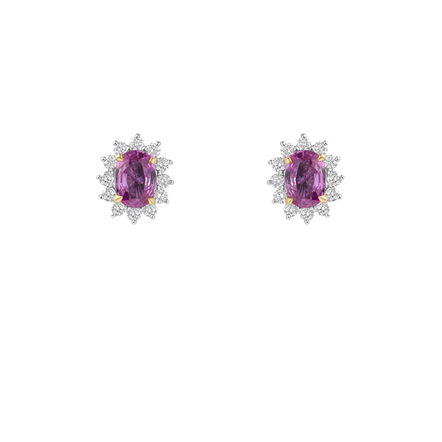 NFDSE-002-E1
