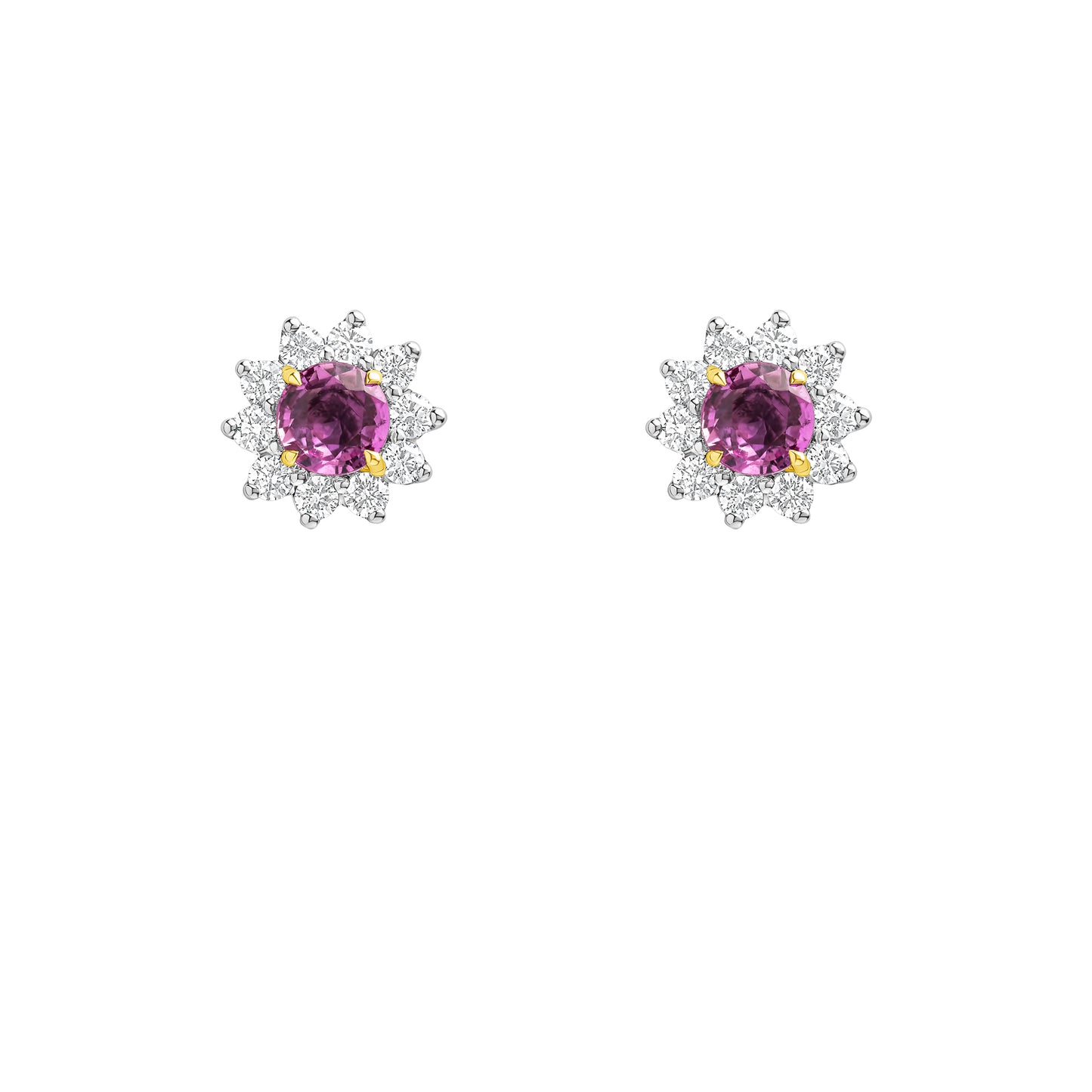 NFDSS-006-R