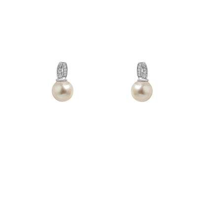 BC0006313-R