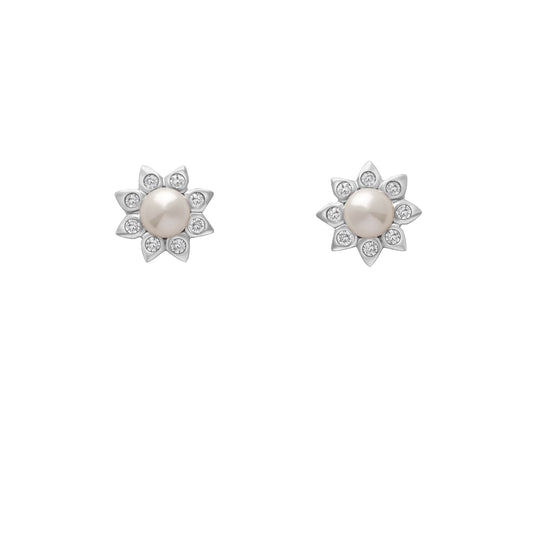 CP01E-A01