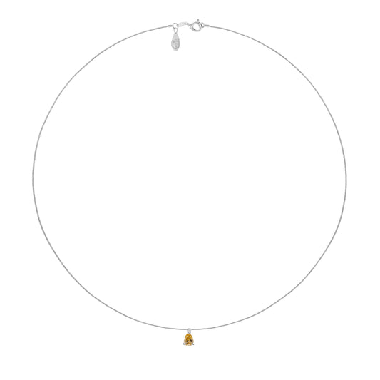 LFD0Z-010 - LCGCH-077