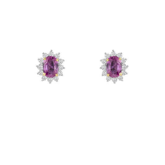 NFDSE-002-E1