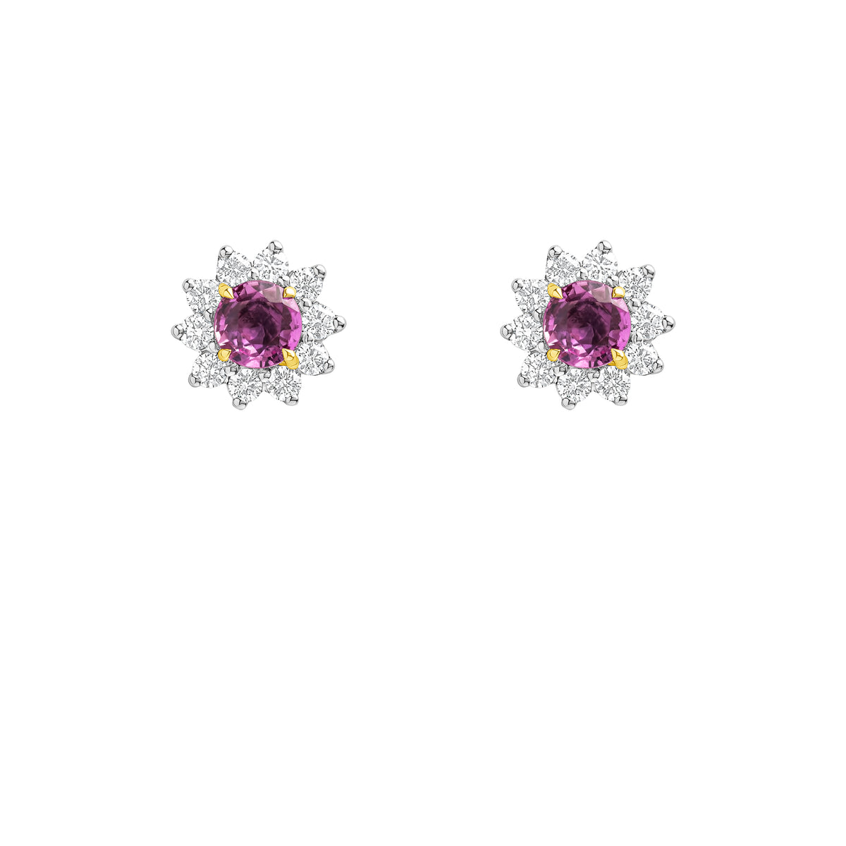 NFDSS-006-R