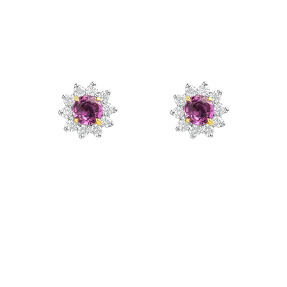 NFDSS-006-R