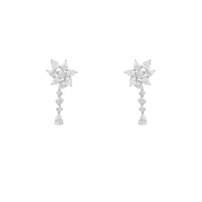 NFDXS-004-N